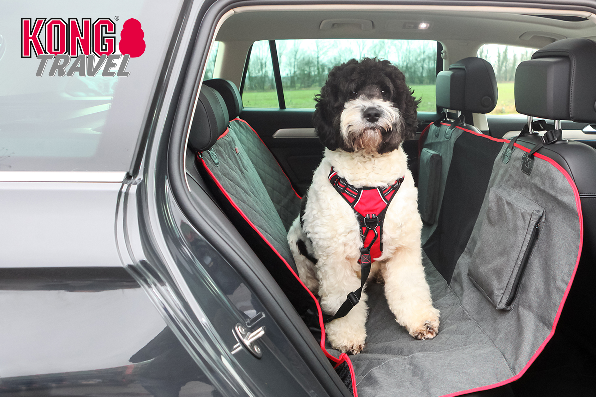 KONG Secure Dog Car Booster Seat with Built-in Tether 