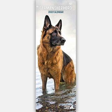 German Shepherds Studio Calendar 2021 Premium Dog Breed Calendars 