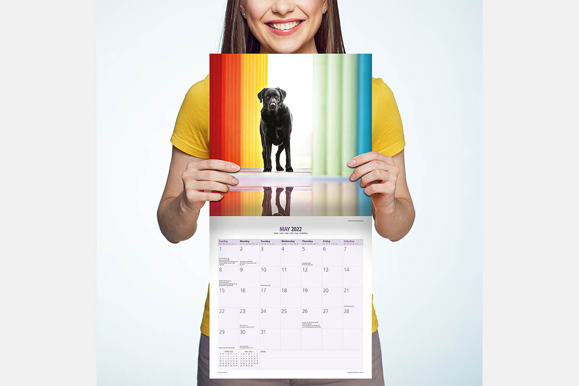 Magnet & Steel Pug 2021 Slim Calendar